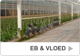 EB & VLOED EB & VLOED